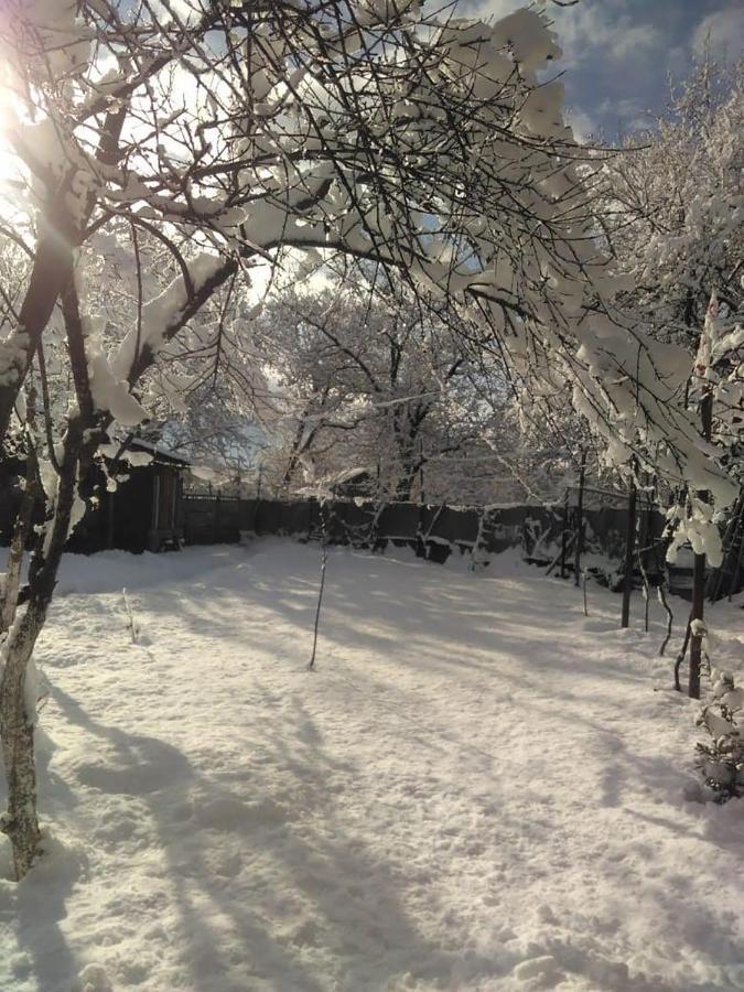 9 Plus - Orbeli Экстерьер фото